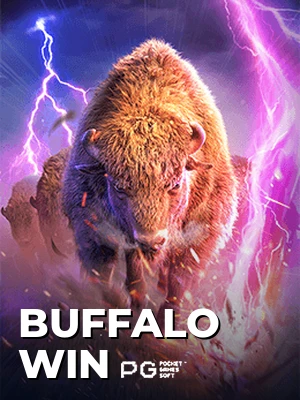 Buffalo Win