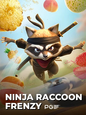 Ninja Raccoon Frenzy