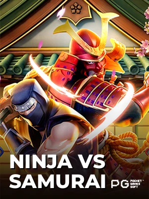 Ninja vs Samurai